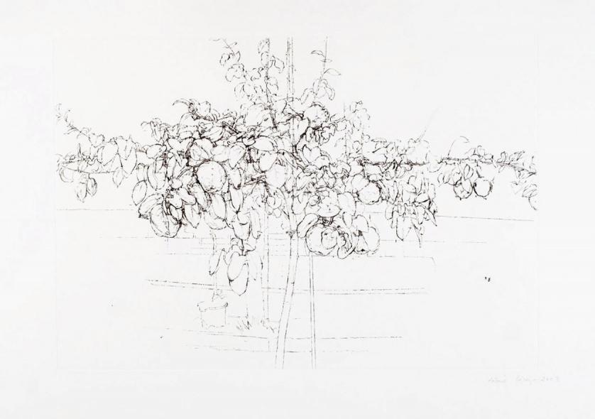 Antonio Lopez Garcia. Fruit Tree (2007)