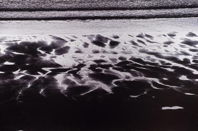 Alberto Schommer. Restos de mar (2006)
