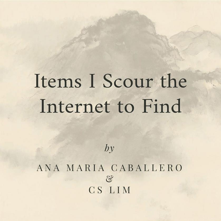 Ana Caballero & CS Lim. Items I Scour the Intern