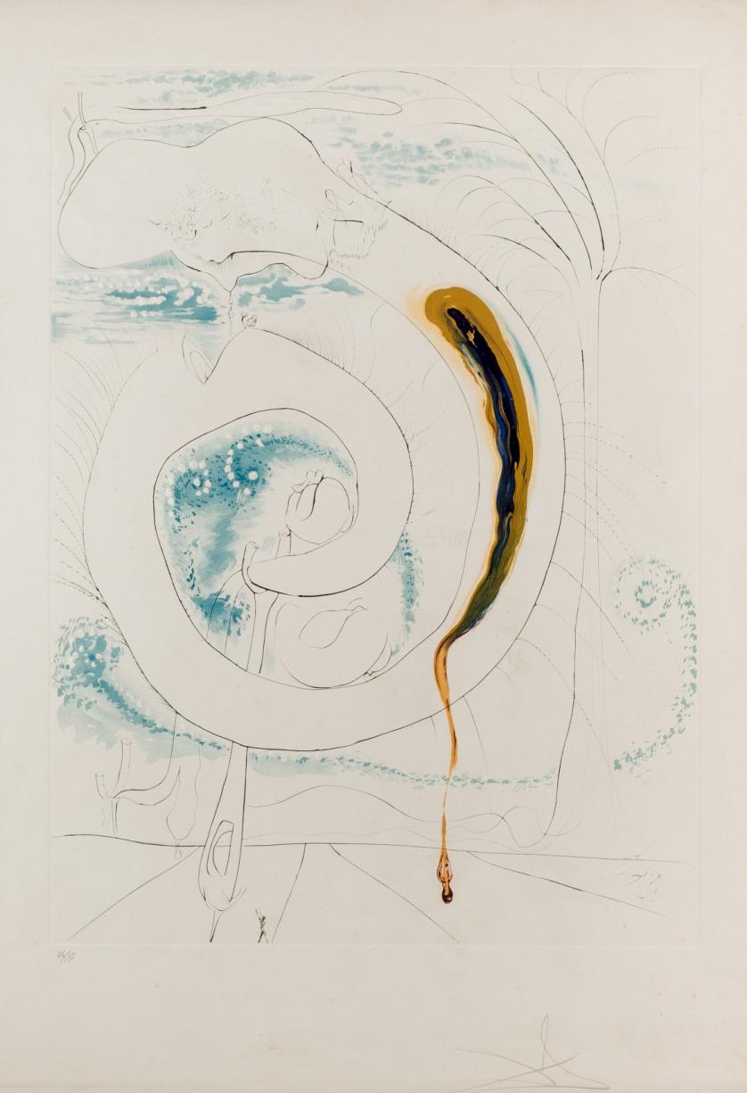 Salvador Dalí. El Círculo visceral del Cosmos