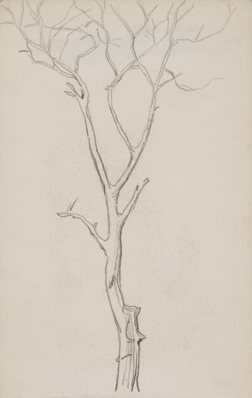 Eduardo Santonja. Paisajes (3) y árbol