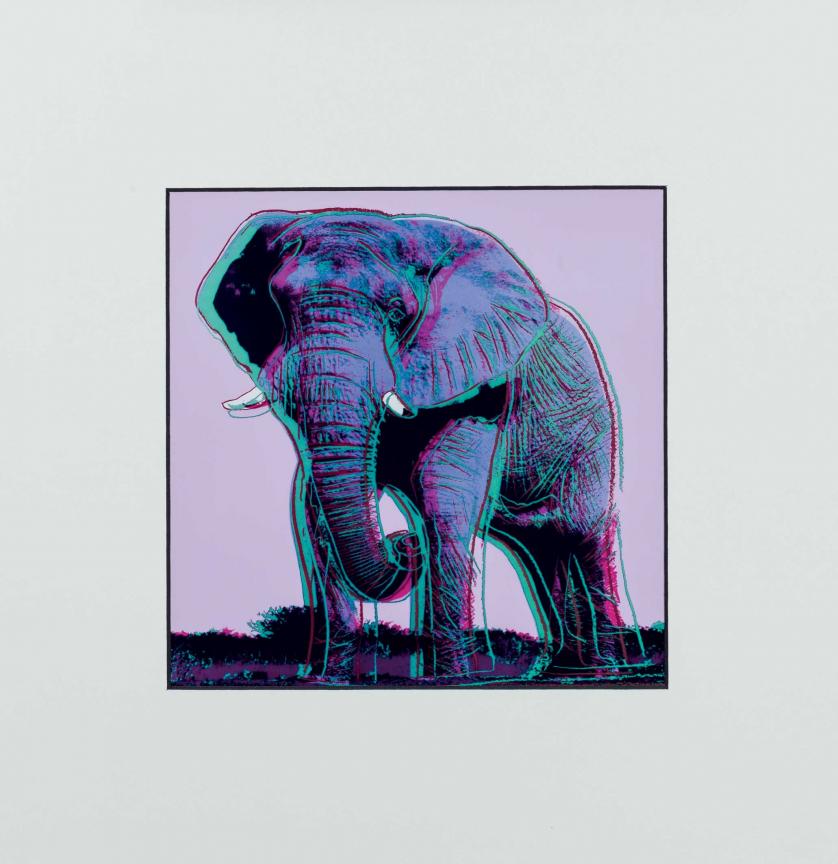 Andy Warhol. elephant