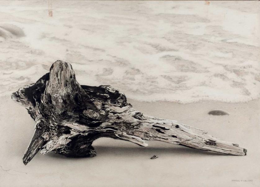 Gerado Pita Salvatella. trunk on the beach