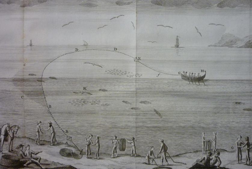 Diccionario histórico artes de la pesca nacional
