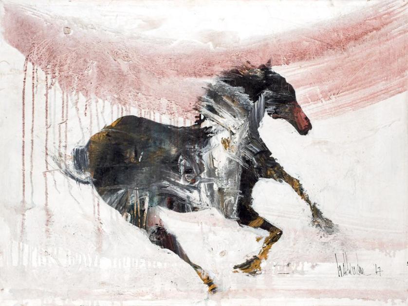 Gino Hollander. horse gallop