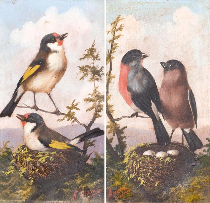 Michelangelo Meucci. birds