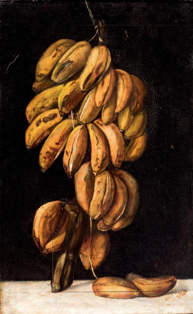 José Felipe Parra Piquer. Plátanos
