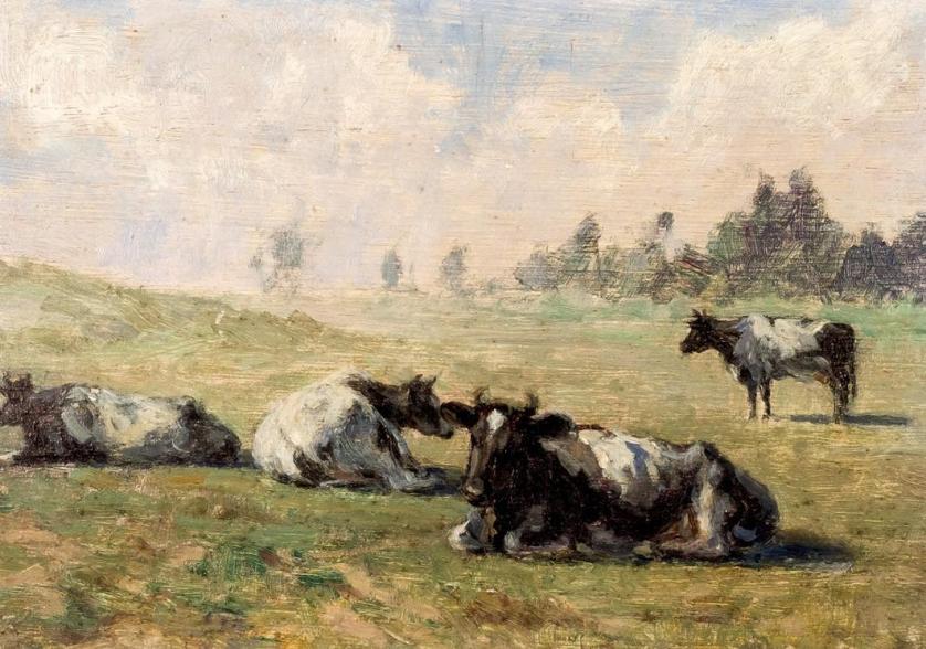 Alberto Rodrigues Aires de Gouveia. Vacas