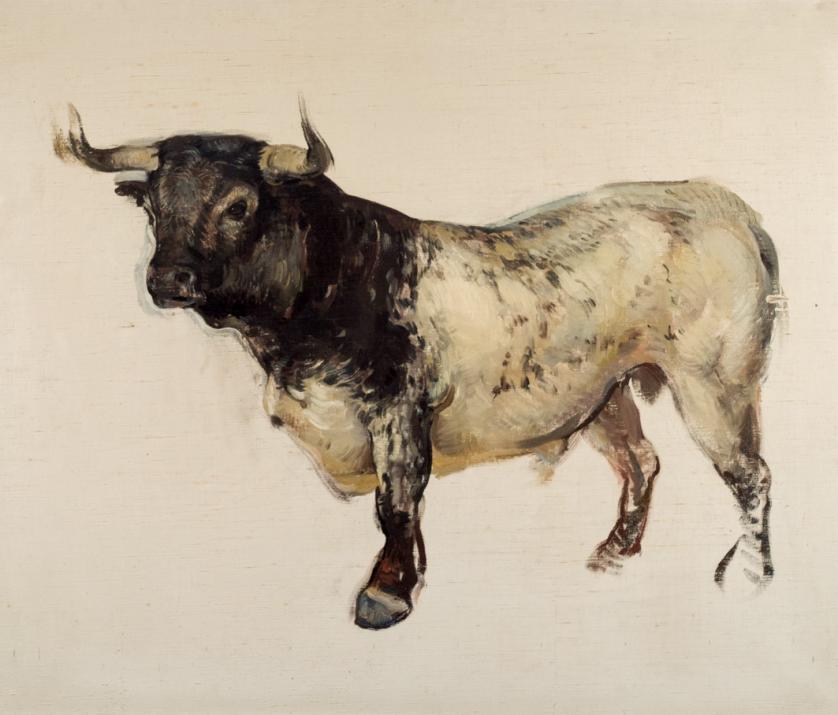 Rafael Pellicer Galeote. Boceto de toro