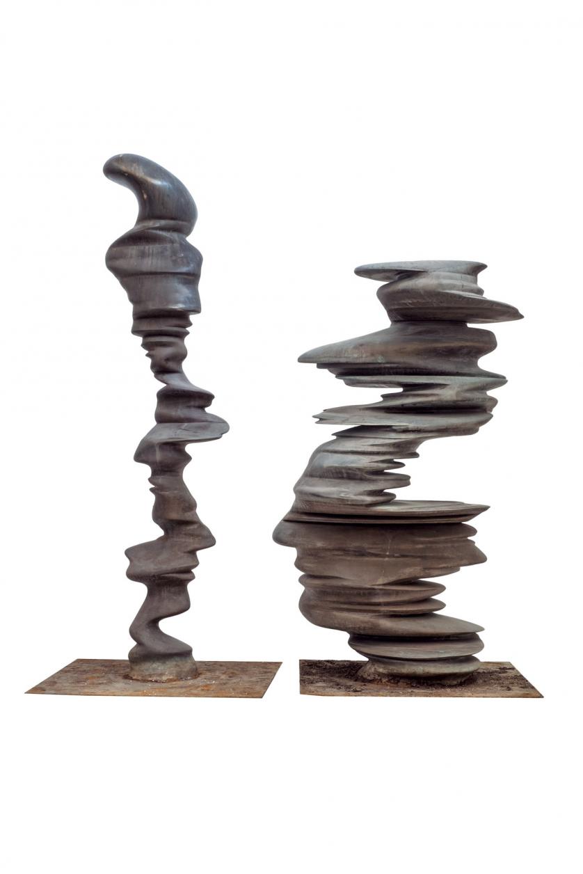 Tony Cragg. Out of sight, out of mind (2003)