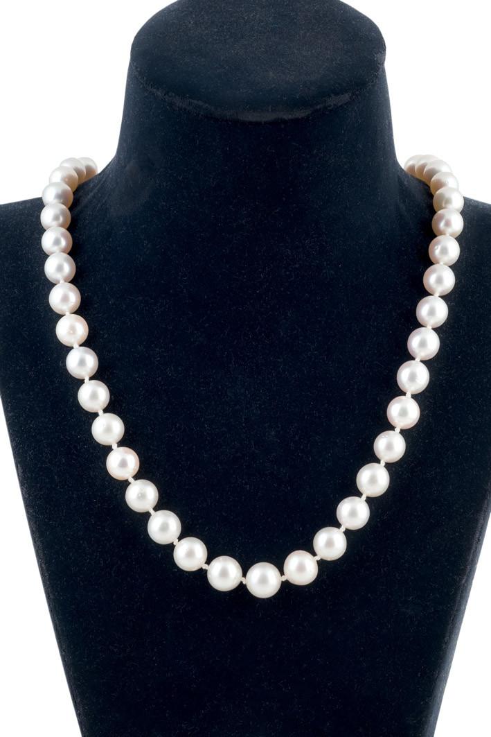 Gran collar de perlas australianas