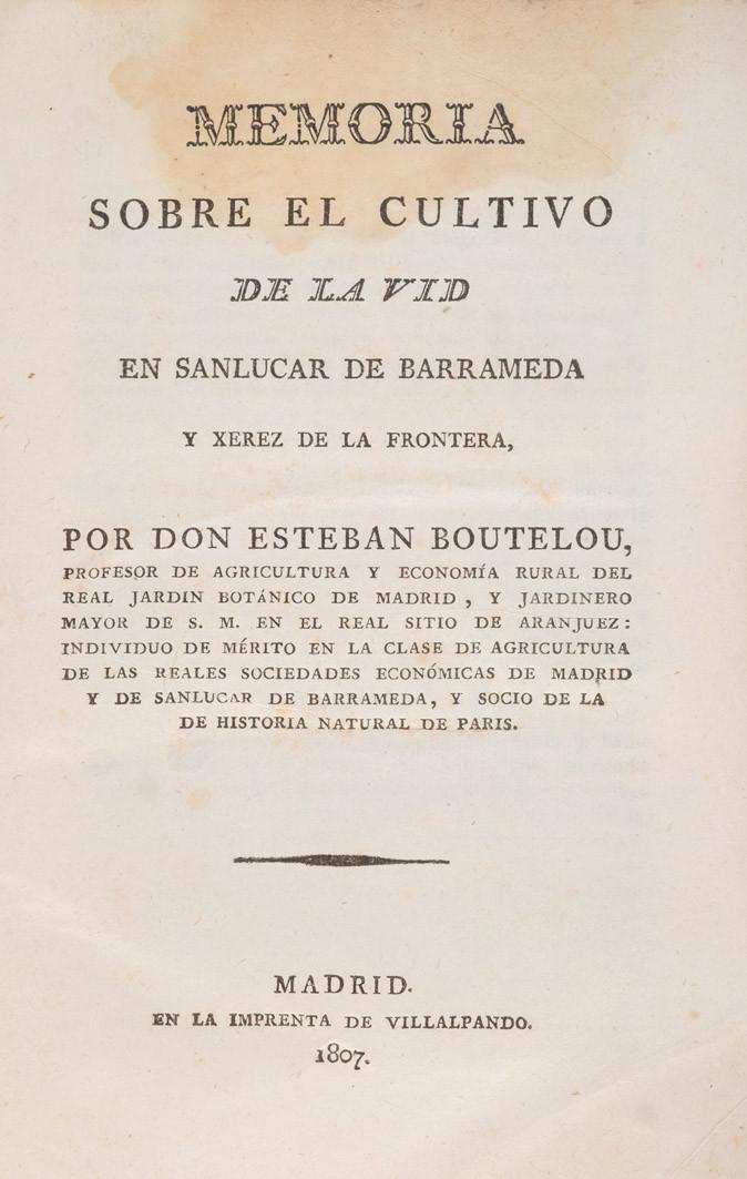 Cultivo de vid en Sanlúcar de Barrameda y Xerez