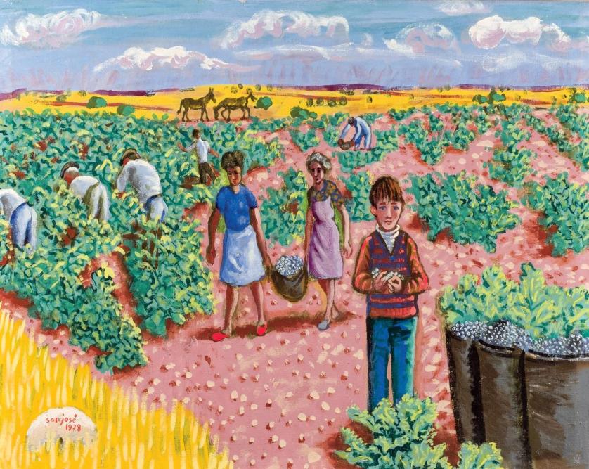 Francis San Jose. The grape harvest