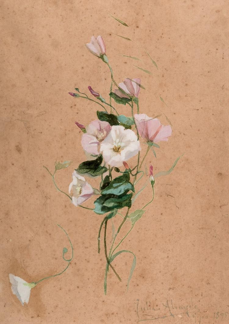 Julia Alcayde. Flowers