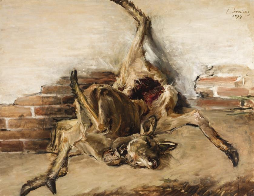 Francisco Domingo. skinned deer