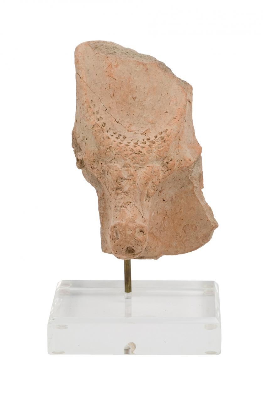 Bull head Babylonian-Mesopotamic clay